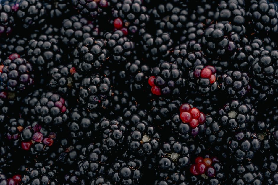 A detailed view of ripe blackberries at an outdoor market in Oghuz, Azerbaijan.